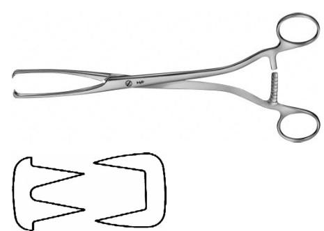 КОРНЦАНГ МЮЗУКС ЗАХОПЛЮЮЧИЙ, ПРЯМИЙ, 240 ММ